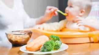 Tips dan Rekomendasi Resep MPASI Bayi 6 Bulan Pertama Untuk Menu Selingan