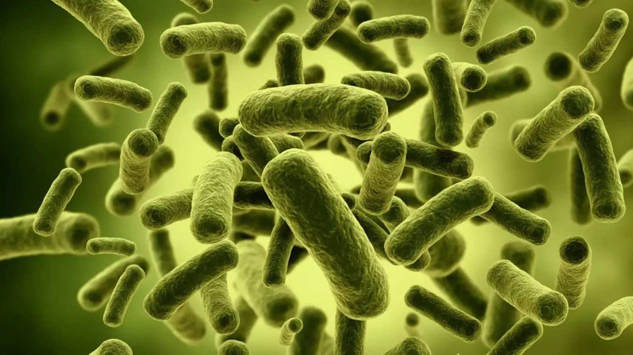 Ayo Kenali Jenis Bakteri Probiotik dan Manfaatnya untuk Kesehatan Tubuhmu